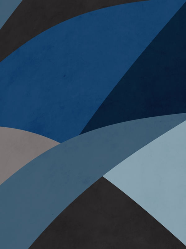 MAX ORGANIC BLUE 8