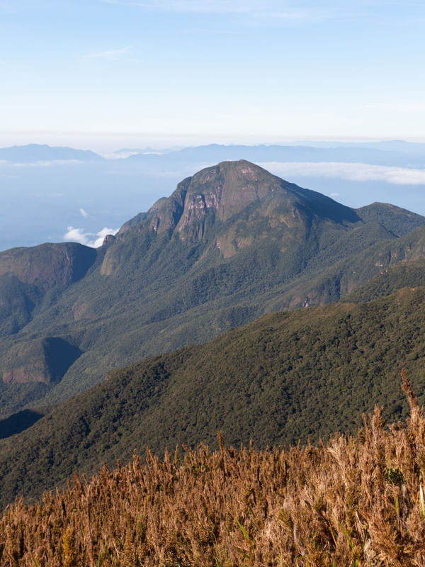 PICO SIRIRICA - PARANÁ