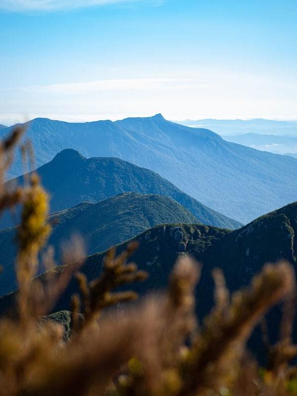 MONTANHAS DO PARANÁ L