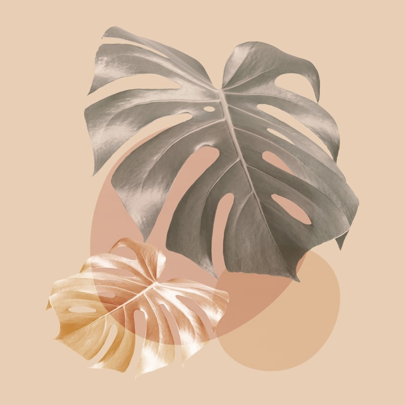 MINIMAL FLORAL A02