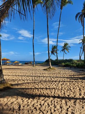 PRAIA EM SALVADOR