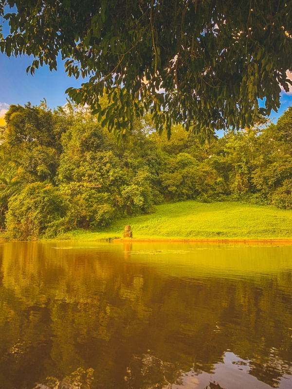 FOTOGRAFIA - PAISAGEM VERDE