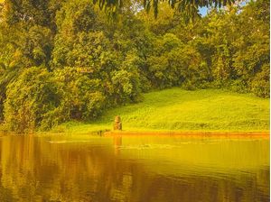 PAISAGEM VERDE 02