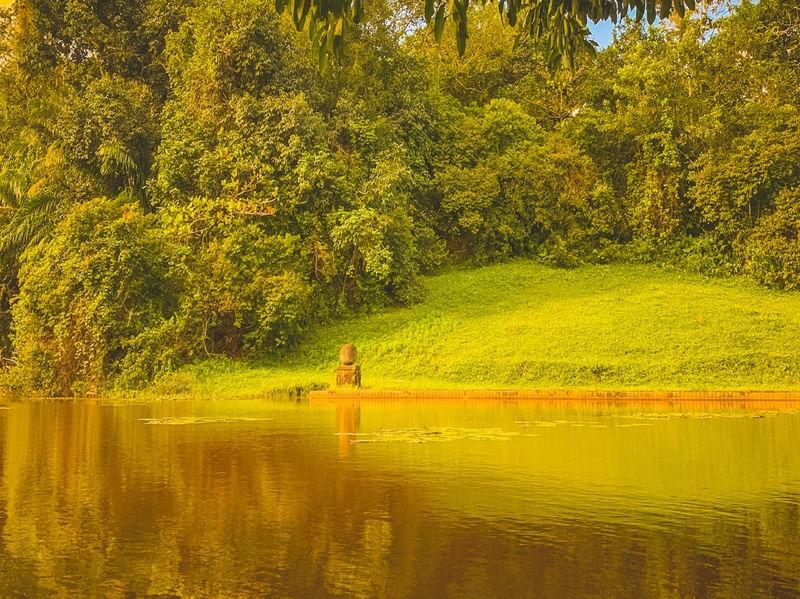 PAISAGEM VERDE 02
