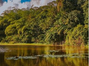 PAISAGEM VERDE 03