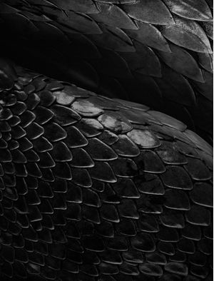 ZOOM TEXTURAS