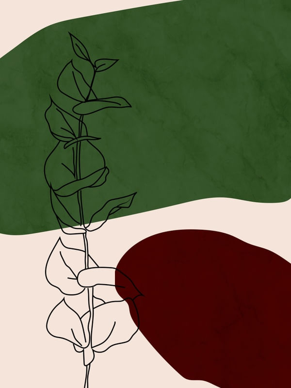 ORGANIC ROOTS 2