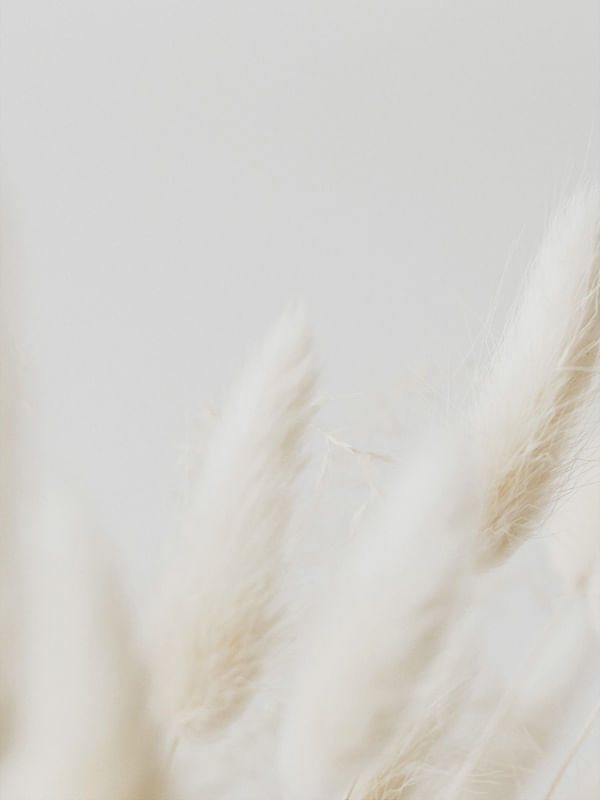MINIMAL ORGANICO 02