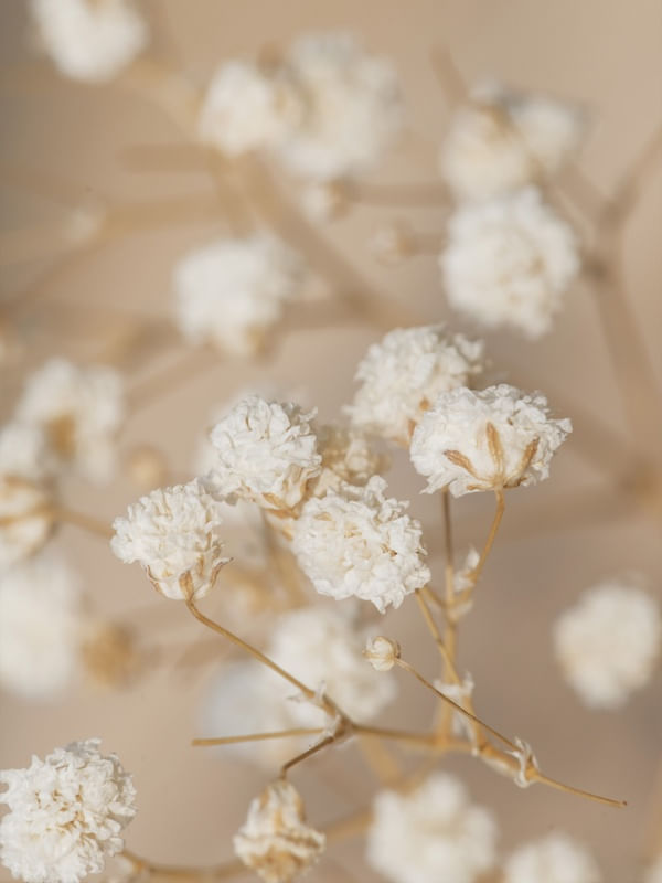 MINIMAL ORGANICO 03