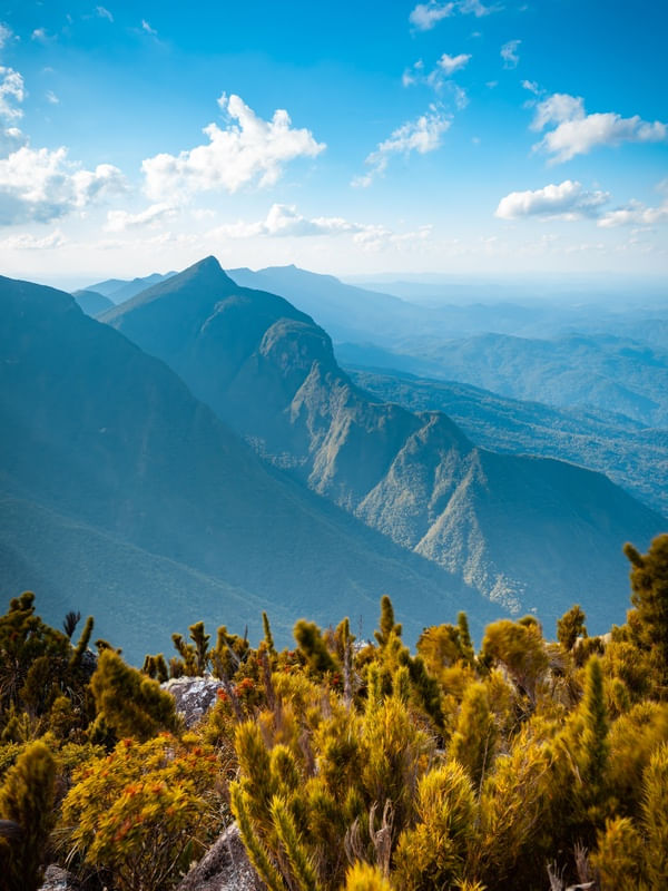 LINDA SERRA DO MAR PARANAENSE