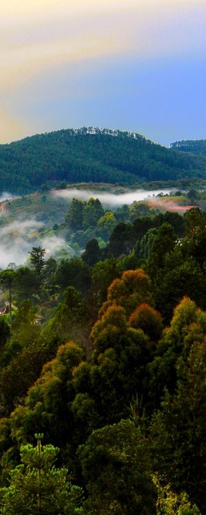 DÍPTICO AMANHECER EM CAMPOS 2 DIREITA