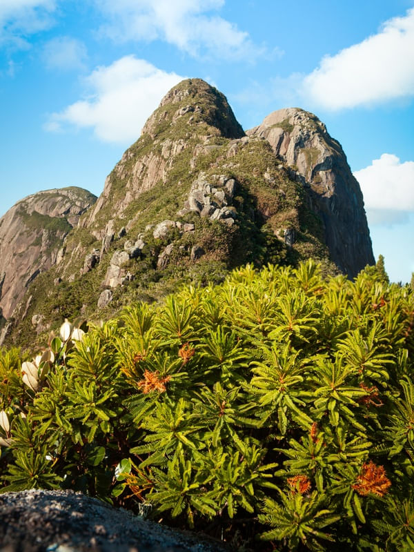 AS BELEZAS DA NATUREZA NA MONTANHA