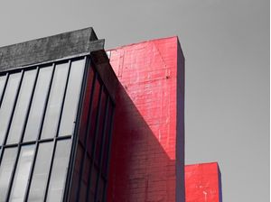 #MASP RED