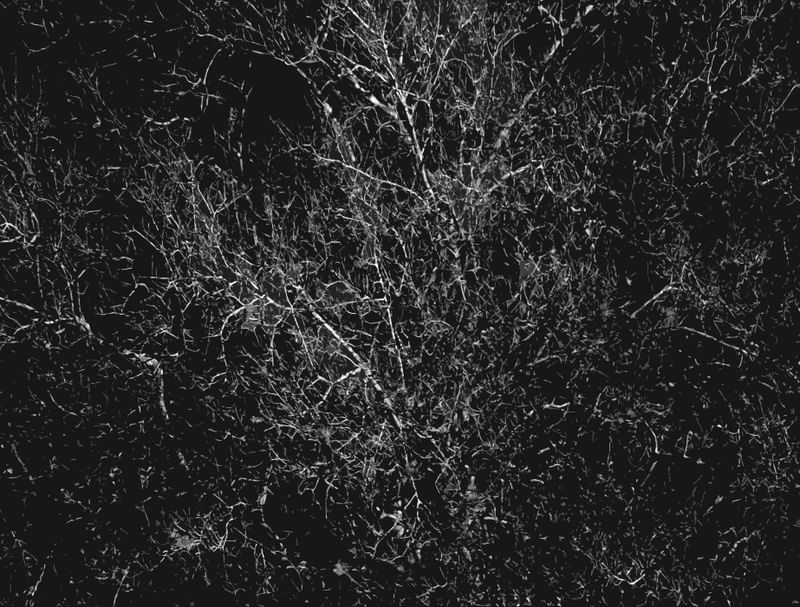 NATUREZA MORTA #1
