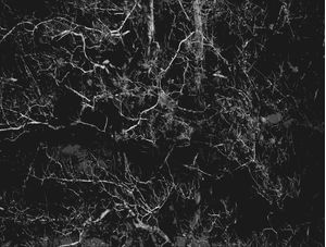 NATUREZA MORTA #2