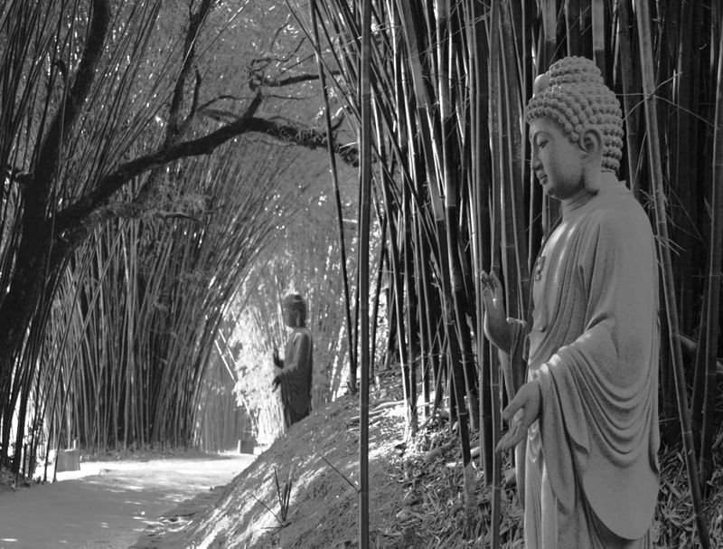BUDHA2