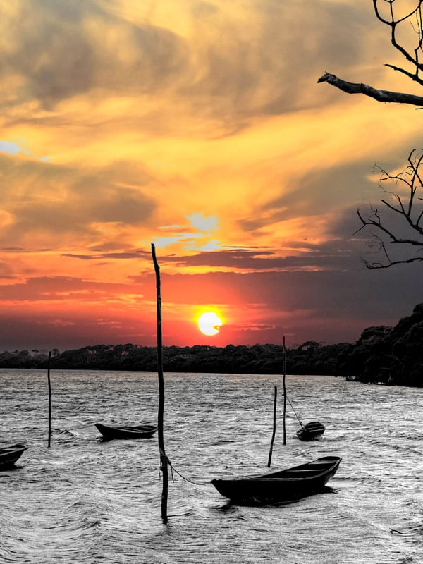 OS BARCOS E O MANGUE TRIPTICO 2