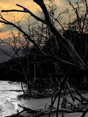 OS BARCOS E O MANGUE TRIPTICO 3