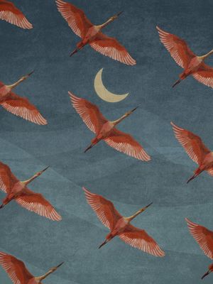 EMEL TUNABOYLU - CRANES ON NIGHT SKY