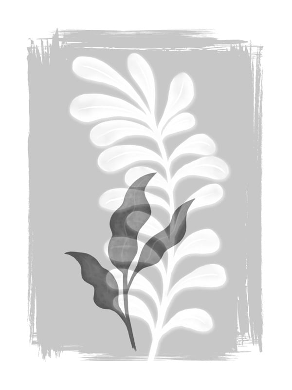 SOMBRAS DAS PLANTAS