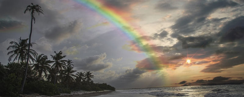 CARNAUBINHA RAINBOW 2