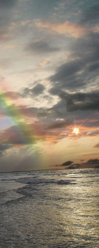 CARNAUBINHA RAINBOW 3