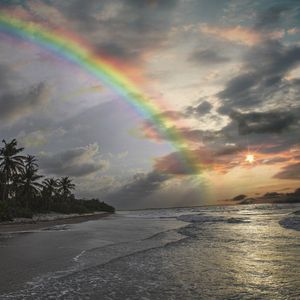 CARNAUBINHA RAINBOW 4