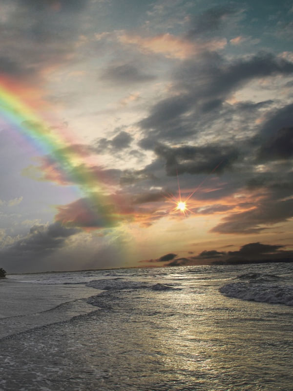 CARNAUBINHA RAINBOW 5