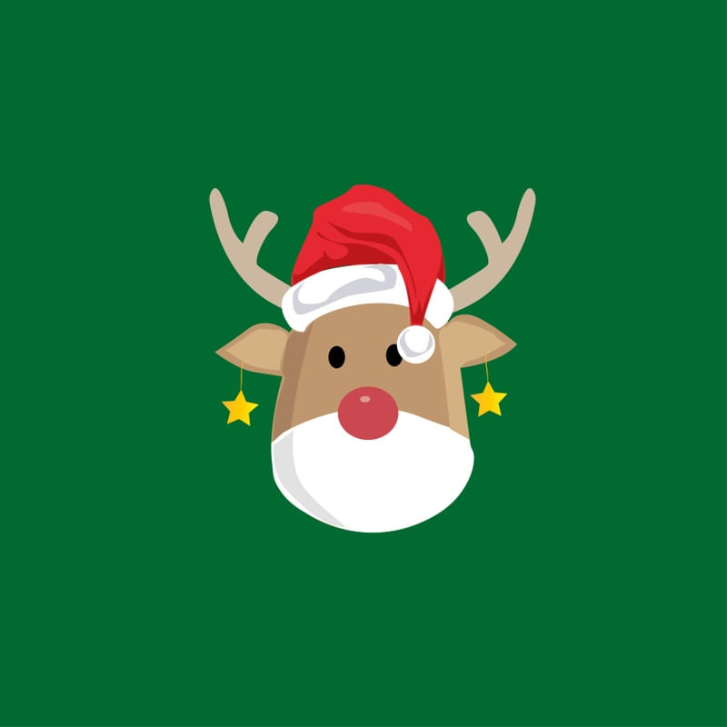 FUNNY REINDEER WITH CHRISTMAS
