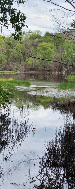COCÓ PARK