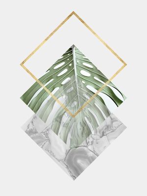 GEOMETRIA TROPICAL V