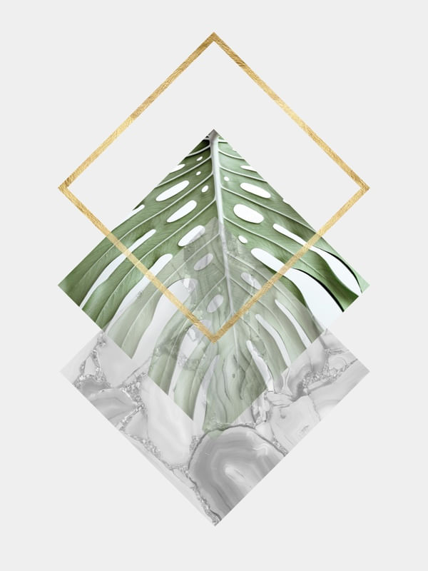 GEOMETRIA TROPICAL V