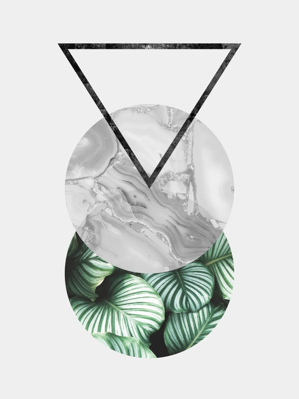 GEOMETRIA TROPICAL VI