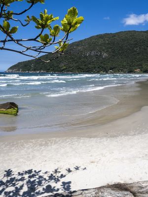 FLORIANÓPOLIS 37 - PRAIA DO MATADEIRO