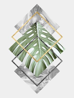 GEOMETRIA TROPICAL VIII