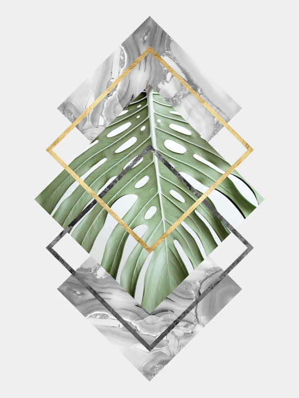 GEOMETRIA TROPICAL VIII