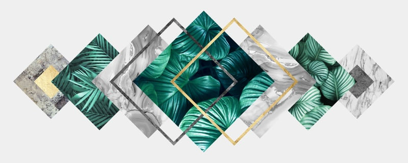 GEOMETRIA TROPICAL IX