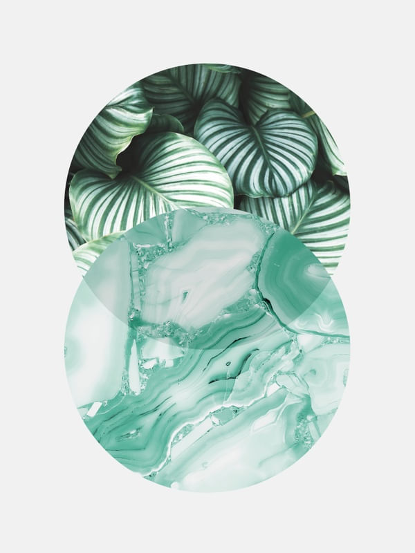GEOMETRIA TROPICAL X