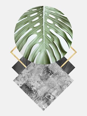 GEOMETRIA TROPICAL XI
