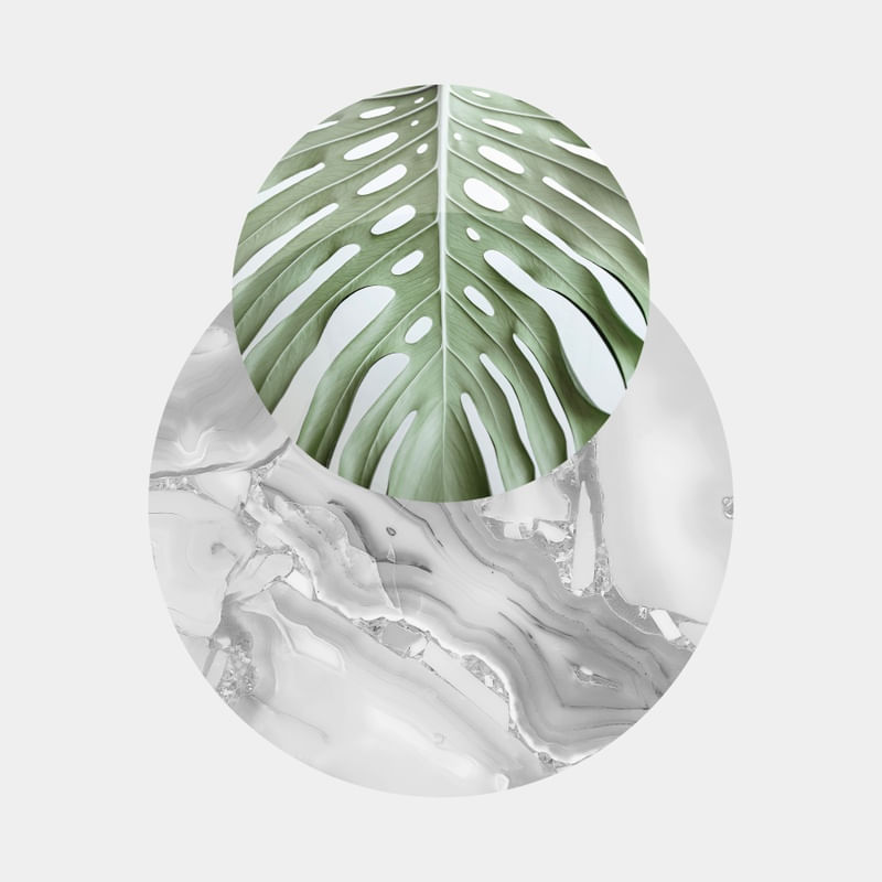 GEOMETRIA TROPICAL XII