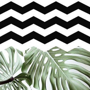TROPICAL E CHEVRON 02