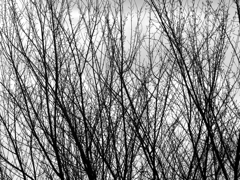 JUST BLACK AND WHITE