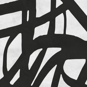 EXPRESSIONISMO PRETO E BRANCO XIV