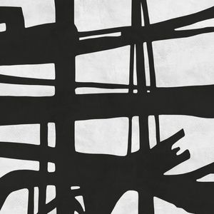 EXPRESSIONISMO PRETO E BRANCO XV