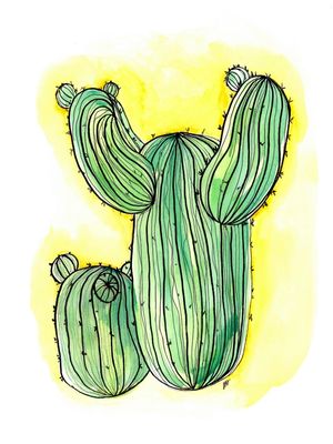 JARDIM DE CACTOS 1