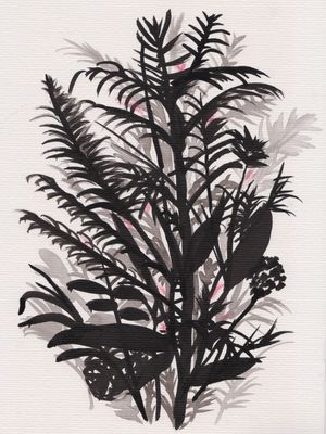 JARDIM MONOCROMÁTICO