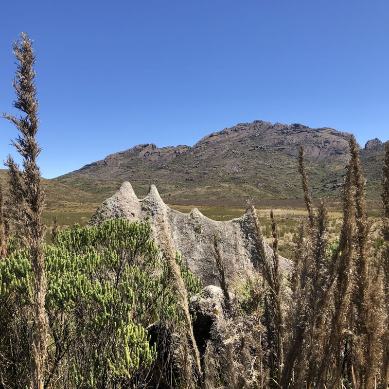 UMA PEDRA NO RANCHO CAÍDO