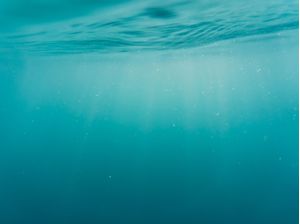 UNDER SURFACE