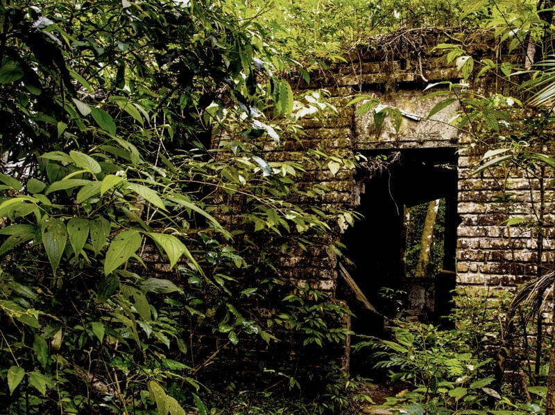 CASA NA FLORESTA DA TIJUCA