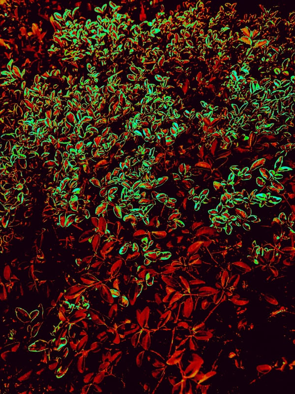 ABM00035